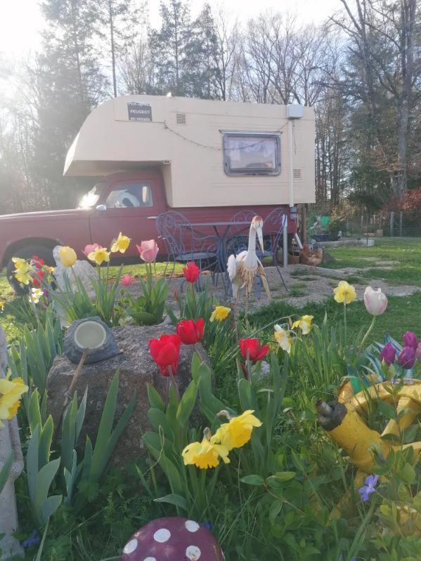 La Roulotte Des Trois Arbres Bed & Breakfast Oradour-sur-Glane Eksteriør bilde